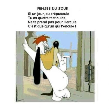 Dicton du Jour.